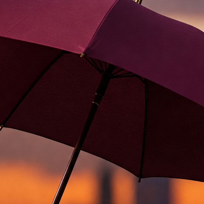 Why a Luxury Umbrella Is the Most Underrated Fashion Investment?