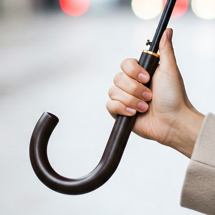 Why Unique Designer Umbrellas Are the New Luxury Fashion Accessory