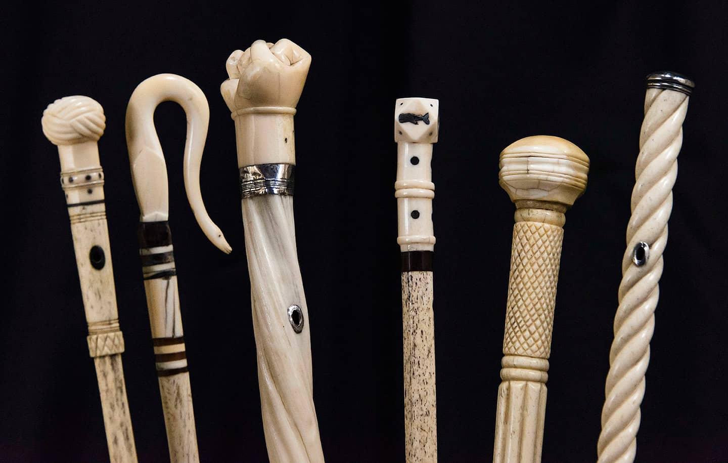5 Modern Design Trends in Walking Canes for Enhanced Mobility