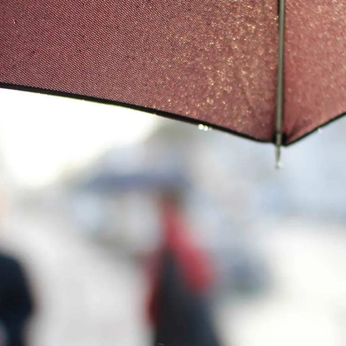 The Durability of Luxury Umbrellas: Why They’re Worth the Investment