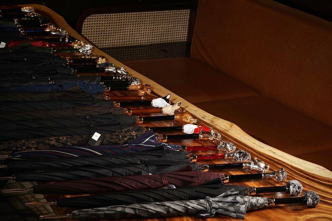 Unveiling Elegance: How Canes Have Evolved into Fashion Statements
