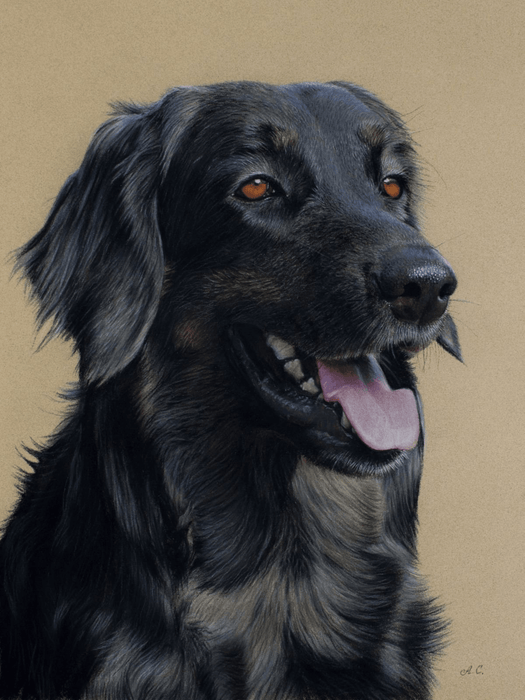 Pastel Realist Beauty Olivia Dog Art Portrait