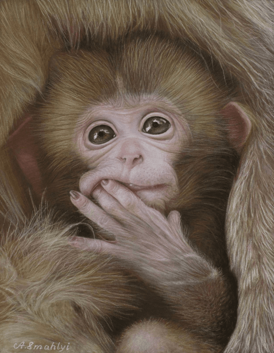 Hand-Drawn Pastel Realist Little Monkey Art Portrait