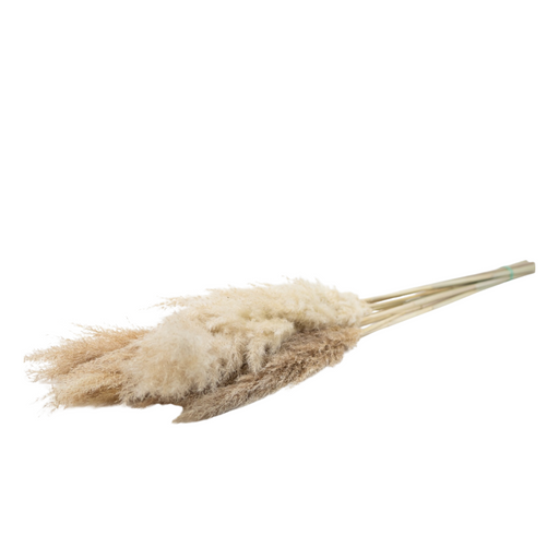 Natural Dried Pampas Grass Bouquet