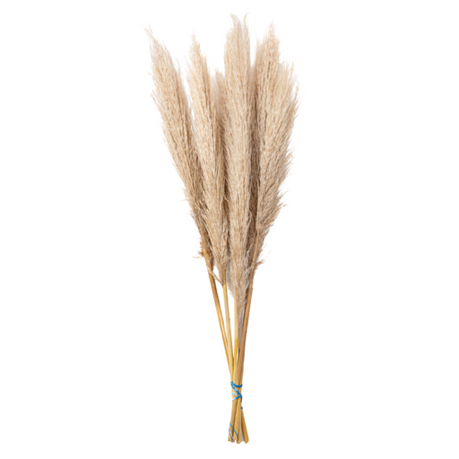 Large Pampas Grass Bouquet Organic Charm