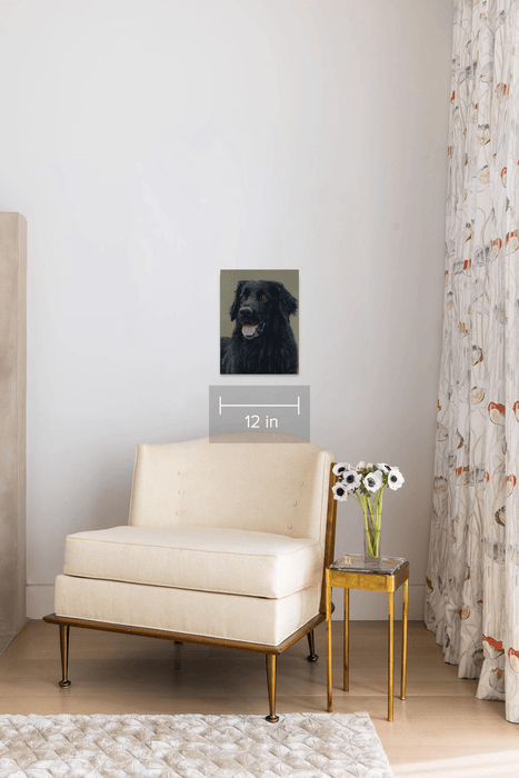 Pastel Realist Hovawart Ricci 12×16 inches