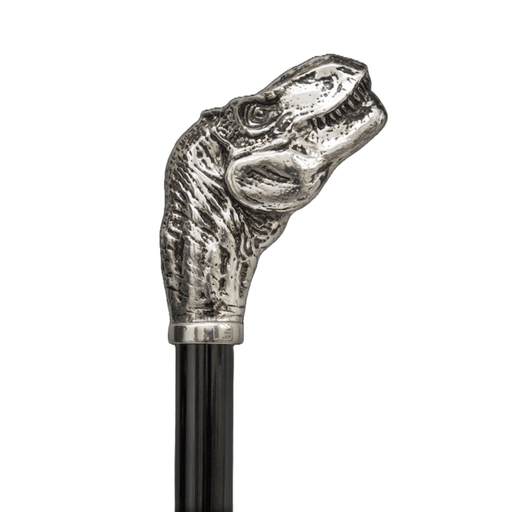 Modern Fashionable Walking Cane Tyrannosaurus for Young People