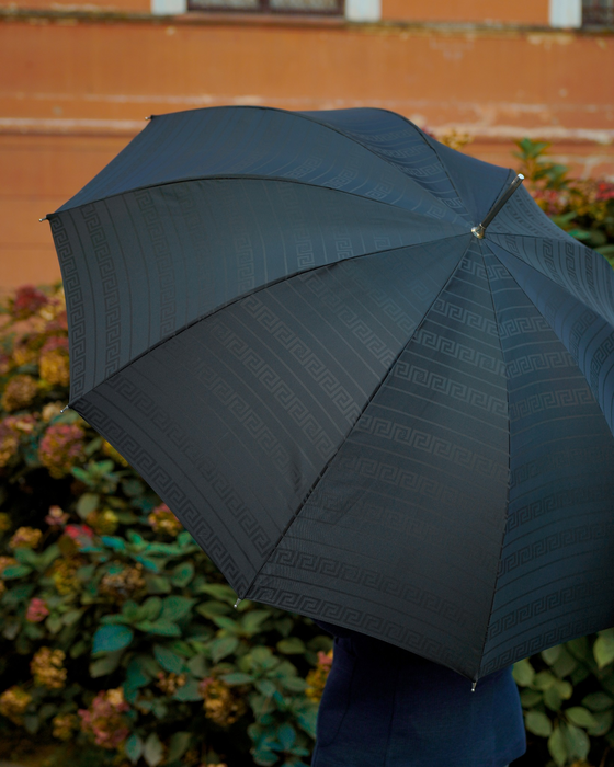Luxury Black Medusa Umbrella - Italian Handmade, Silver Handle