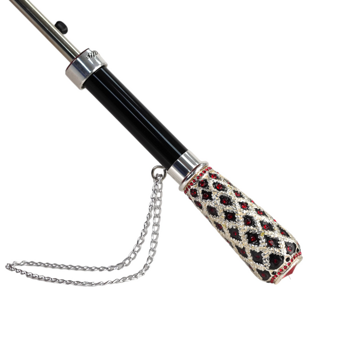 Luxury Umbrella Featuring Black Ruffles and Silver-Plated Accents