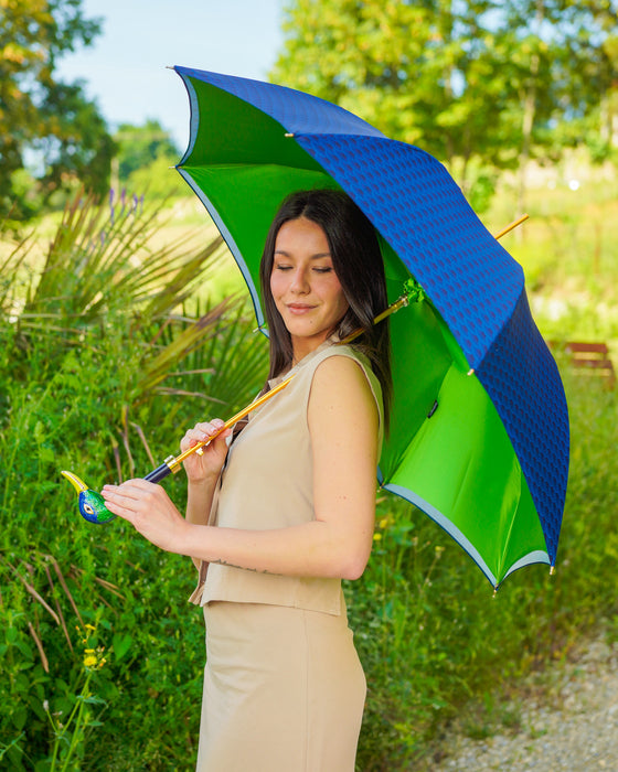 Parapluie élégant pour femme de qualité supérieure