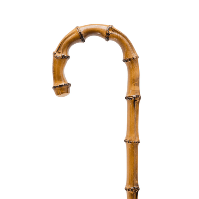 Unique Whangee Handle Stylish Flowered Parasol Women