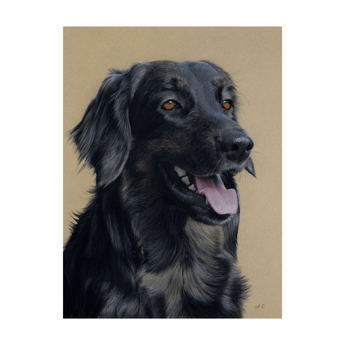Pastel Realist Beauty Olivia Dog Art Portrait