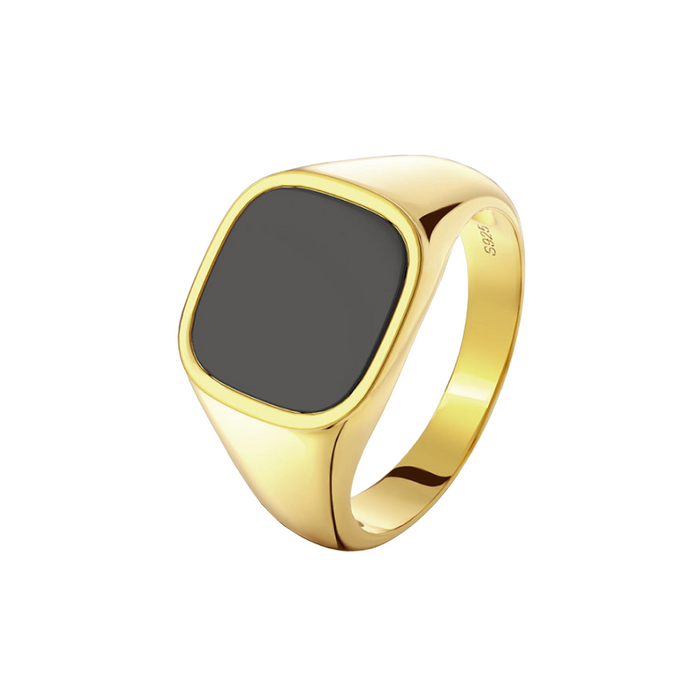 Gold Onyx Stone Signet Ring in Titanium Steel