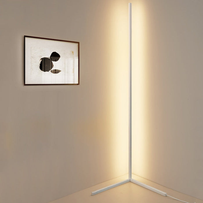 Minimalistic Designer Modern LED Floor Lamp
