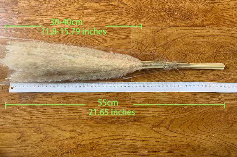 Natural Dried Pampas Grass Bouquet