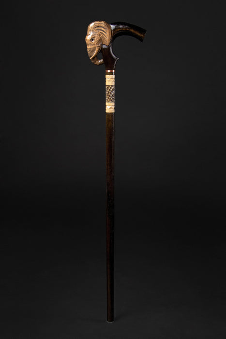 Stylish Walking Canes for Men, Hand Carved - Hand Painting