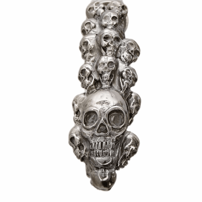 Modern Cool Walking Stick, Silver Skull Handle