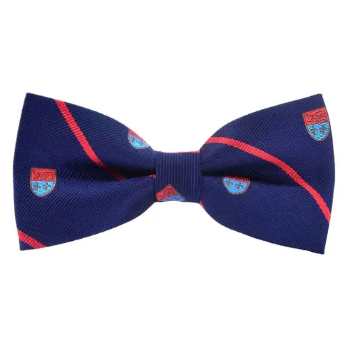 Stylish Striped Bow Tie for Men Elegant Accessory for Formal Occasions