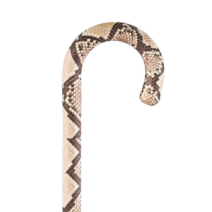 Crafted Instinct – Italian Leather Cane with Serpent Soul