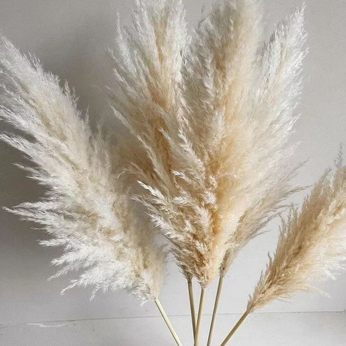 Large Pampas Grass Bouquet Organic Charm