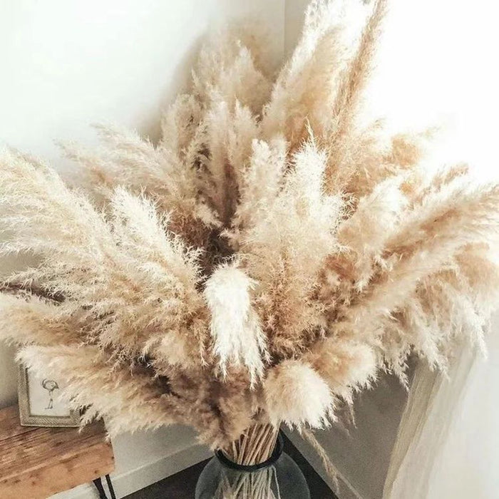Large Pampas Grass Bouquet Organic Charm