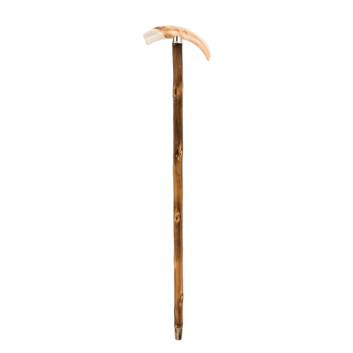 Wild Boar Tusk Walking Cane for Men - Rare Wild Boar Cane