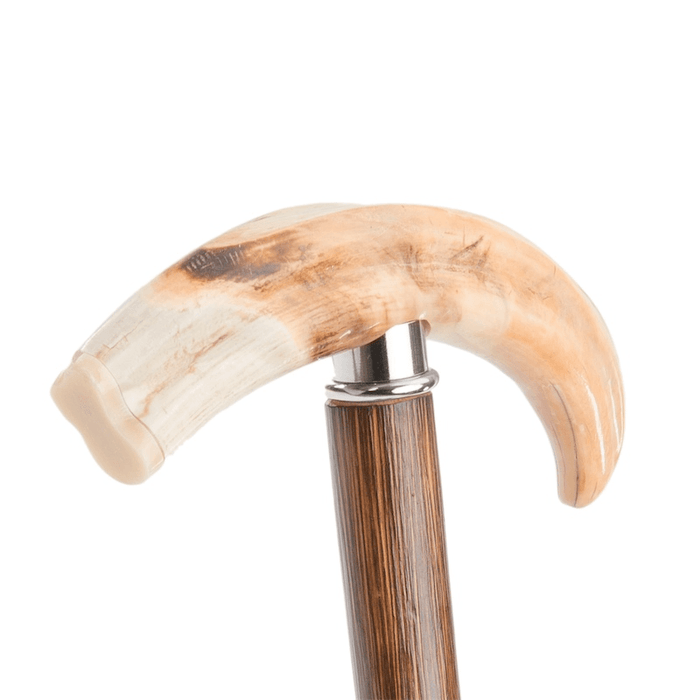 Wild Boar Tusk Walking Cane for Men - Rare Wild Boar Cane