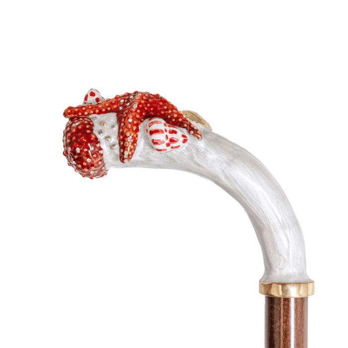Starfish White Print Umbrella Exclusive for Women