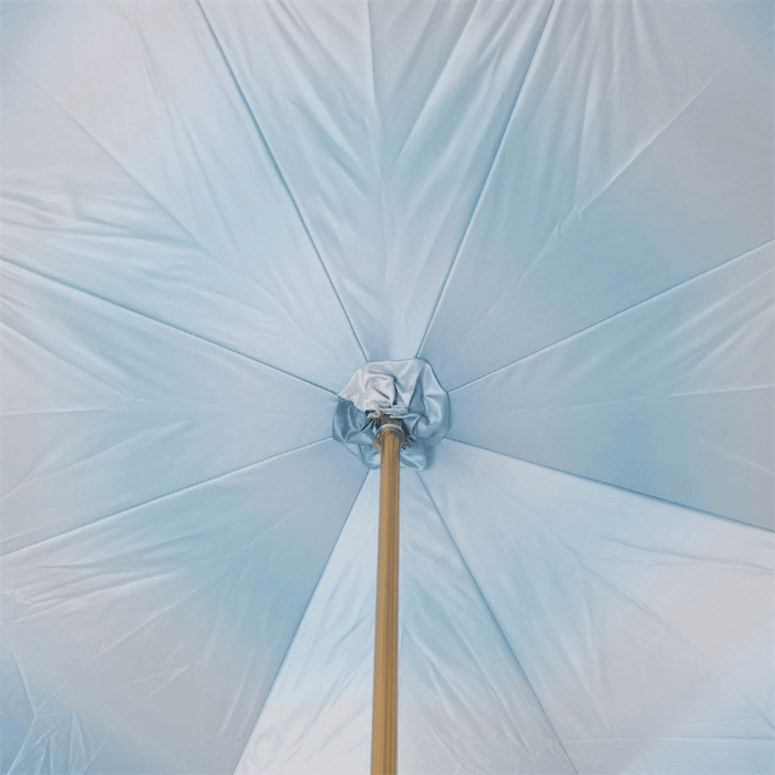 Exclusive Design Dolphin Handle Blue Ombre Canopy Umbrella