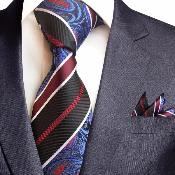 Classy Men Silk Striped Paisley Tie