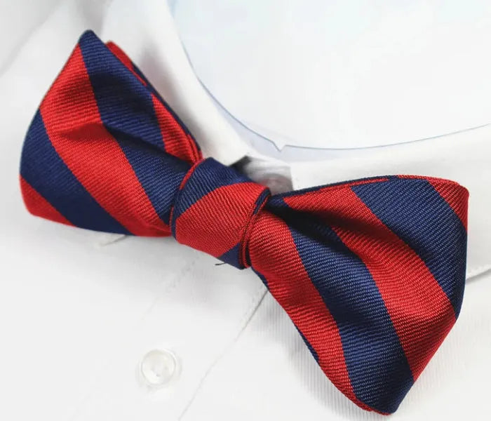 Red and Blue Striped Silk Self-Tie Bow Tie for Classy Men