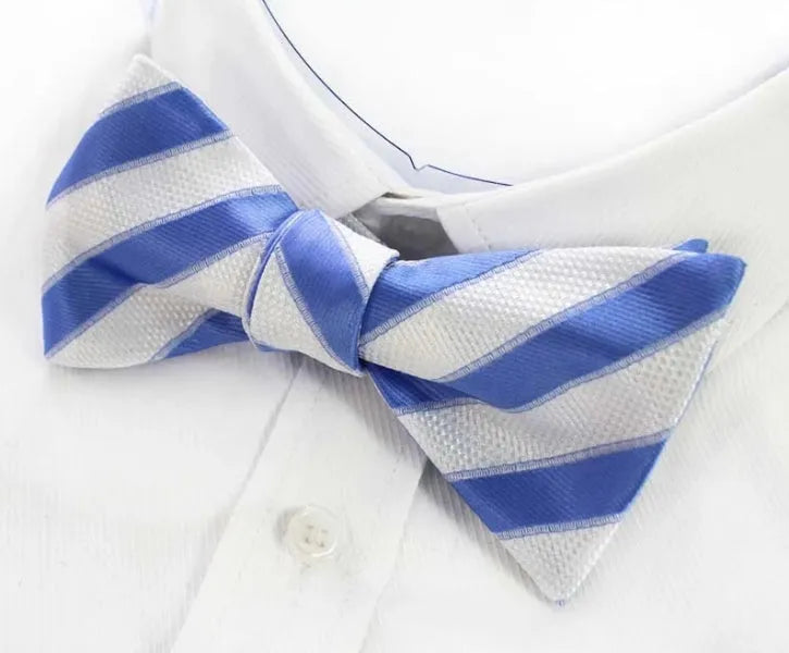 Blue and White Silk Self-Tie Bow Tie for Classy Men