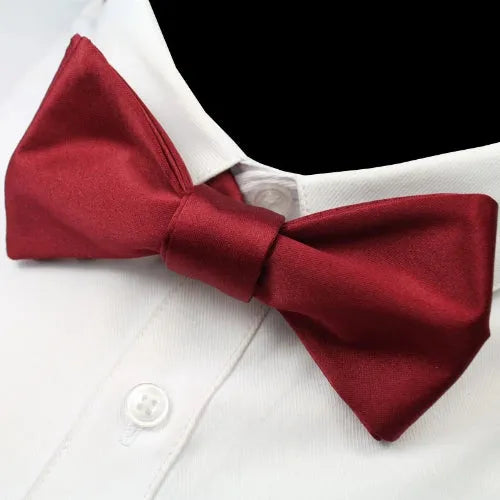 Silk Self-Tie Bow Tie for Men in Elegant Wine Red