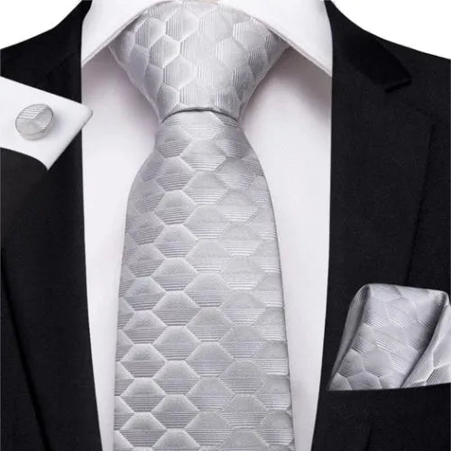 Light Silver Hexagonal Silk Tie for Classy Men