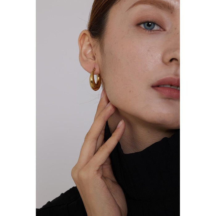 Elegant Design Earrings