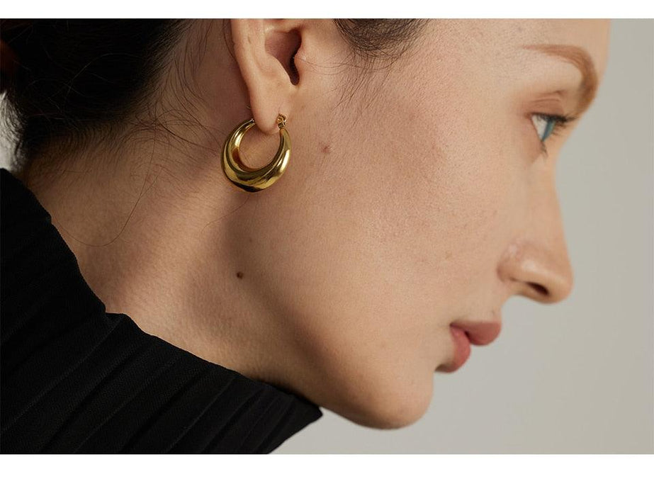 Elegant Design Earrings