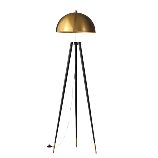 Exclusive Modern Nordic Art LED Floor Lamp