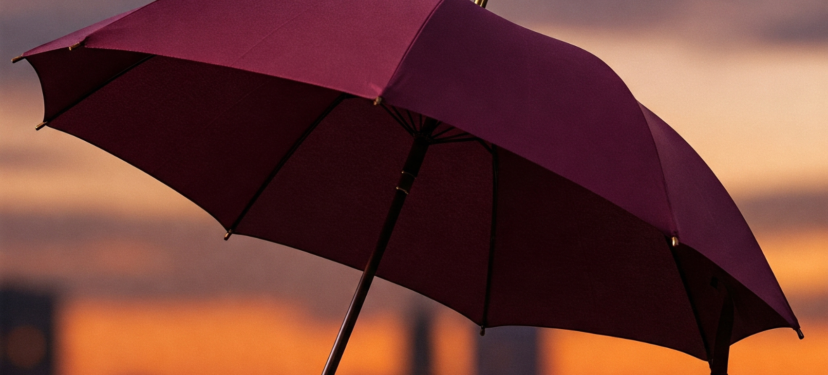 Why a Luxury Umbrella Is the Most Underrated Fashion Investment?