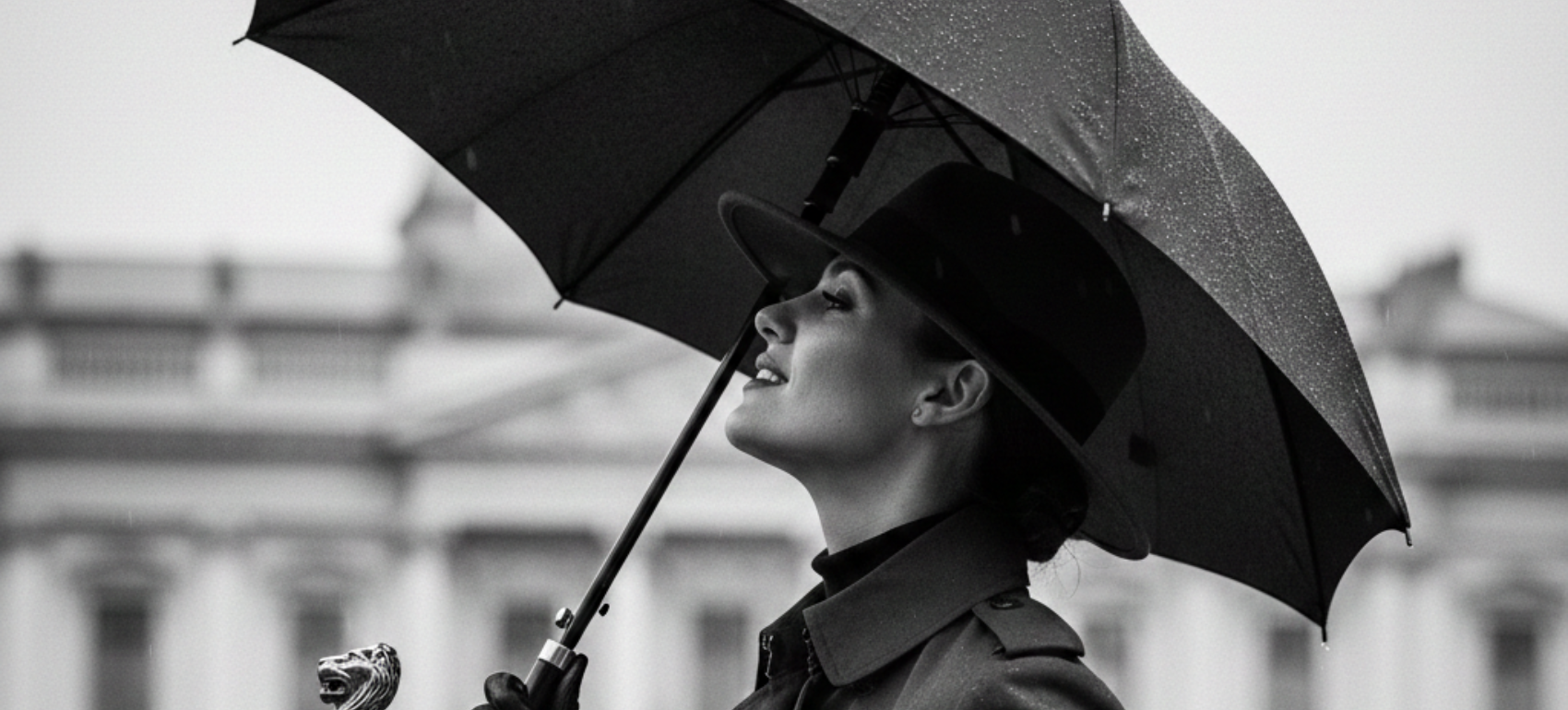 A Luxury Umbrella Defines Your Presence Before Words Are Spoken