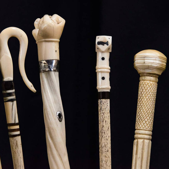 5 Modern Design Trends in Walking Canes for Enhanced Mobility