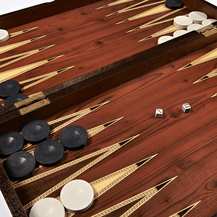 Beyond the Board: Discovering the Social and Strategic World of Doubles Backgammon