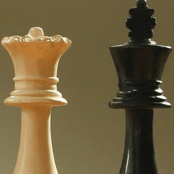 Mastering the Board: A Visual Guide to Chess Openings