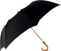 Unique Stylish and Compact Folding Umbrella for Men