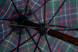 Elegant plaid umbrella