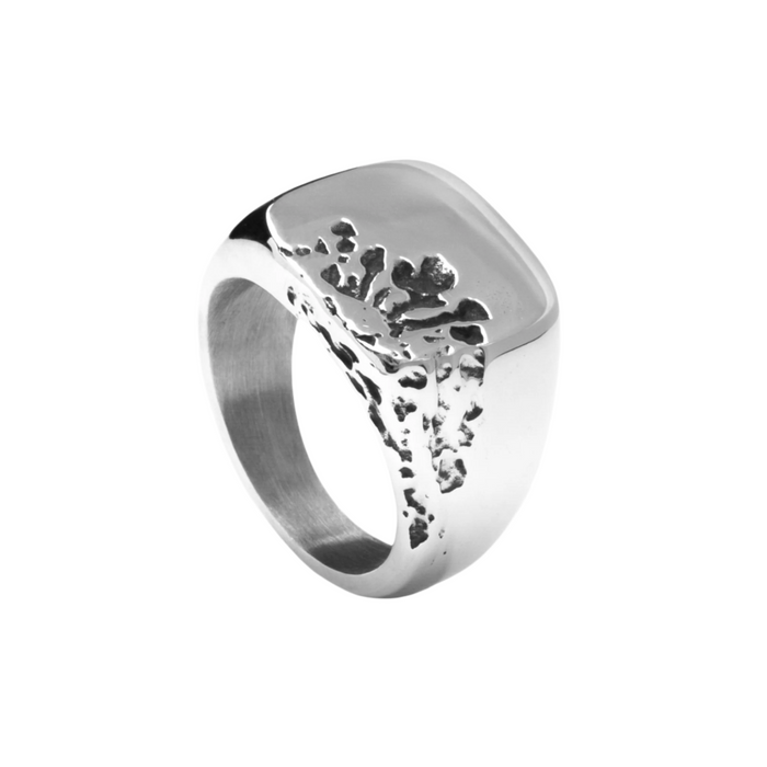 Silver Moon Imprint Signet Ring