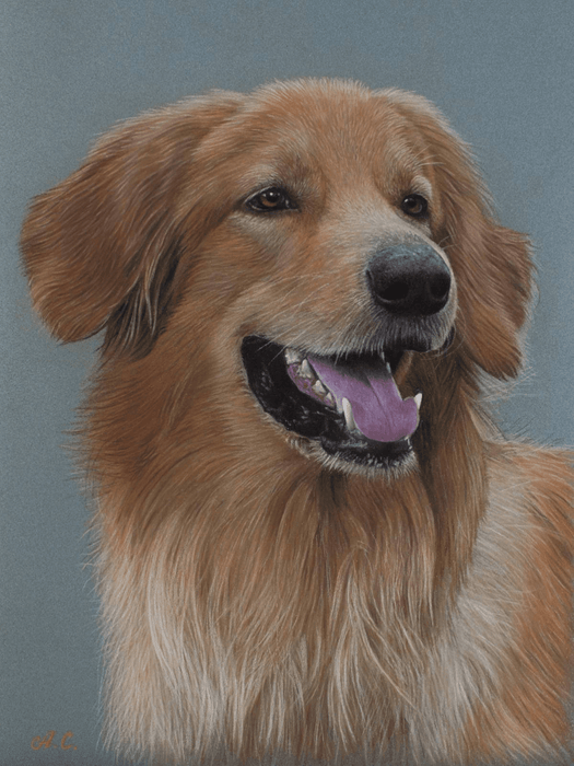 Pastel Realist Rokkee Dog Animal Art Portrait - Artynov | Unique Handmade Accessories