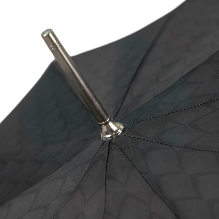 Umbrella with Dragon’s Fury Handle, Fashion Umbrella For Men