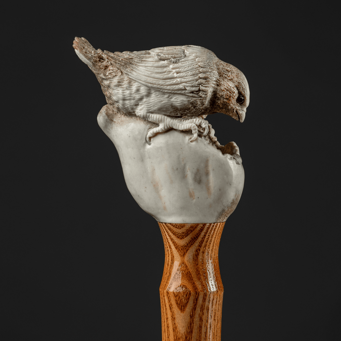 Vintage bird on a pear cane