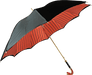 Premium Double Canopy Umbrella with Enameled Red Dragon Handle