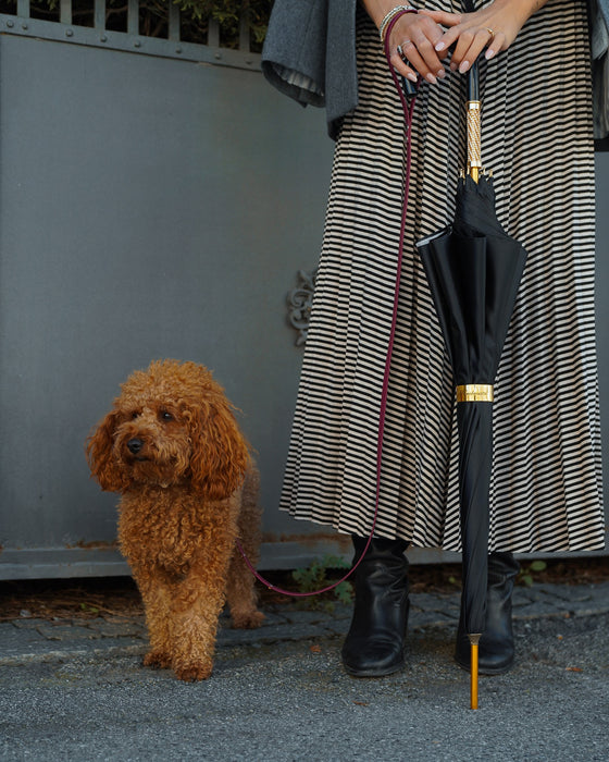 Simple and Elegant Black Umbrella with Animalier Design